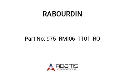 975-RMI06-1101-RO