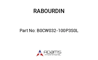 B0CW032-100P3S0L