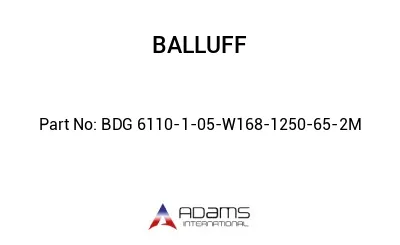 BDG 6110-1-05-W168-1250-65-2M									