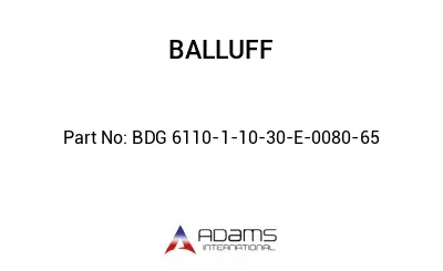 BDG 6110-1-10-30-E-0080-65									