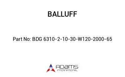 BDG 6310-2-10-30-W120-2000-65									