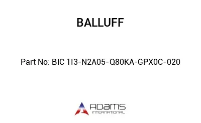 BIC 1I3-N2A05-Q80KA-GPX0C-020									