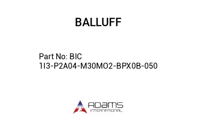 BIC 1I3-P2A04-M30MO2-BPX0B-050									