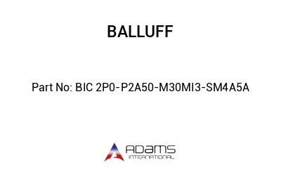 BIC 2P0-P2A50-M30MI3-SM4A5A									