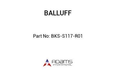 BKS-S117-R01									