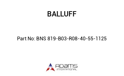 BNS 819-B03-R08-40-55-1125									