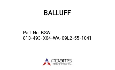 BSW 813-493-X64-WA-09L2-55-1041									