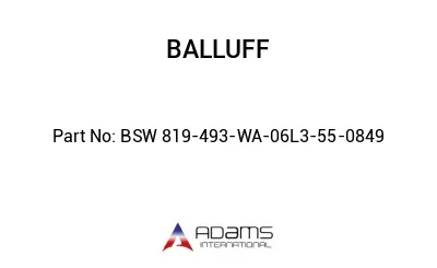 BSW 819-493-WA-06L3-55-0849									