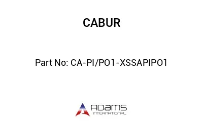 CA-PI/PO1 - XSSAPIPO1